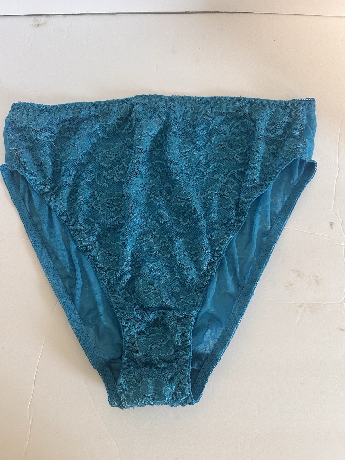 Vintage panties size 10 Enchanted hi-cut lace/sheer blue