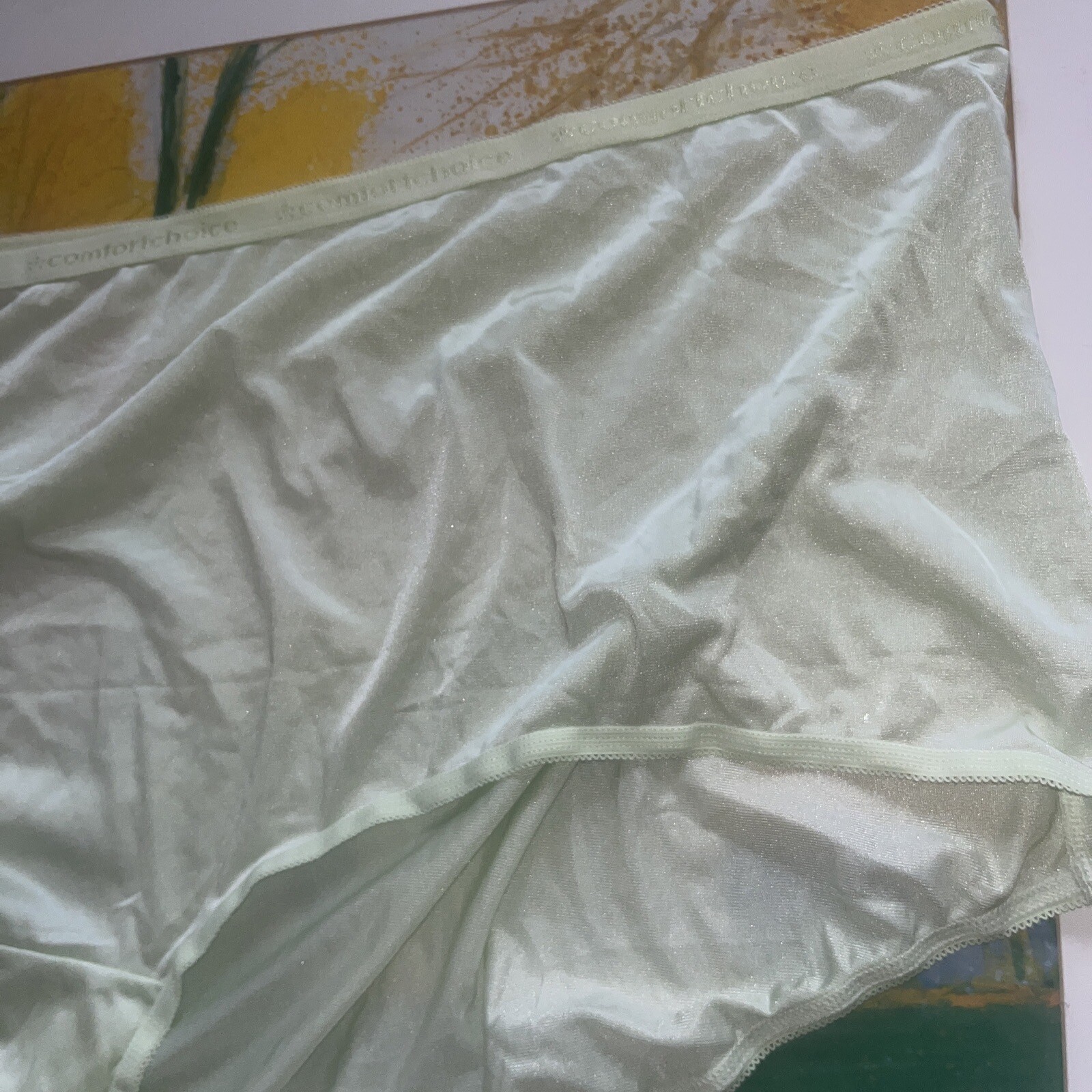 2 Panties Nylon size 16X plus, Comfort Choice brief Green And Blue