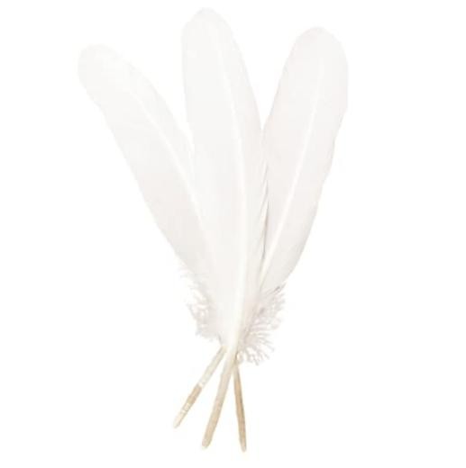 50pcs Feathers 8~10 in,Beautiful Bulk Long Feather for Crafts（21 White