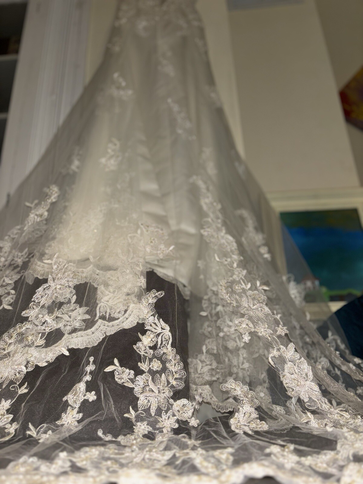 Classy And Classic, Deneki’s, Beaded Lace And Train