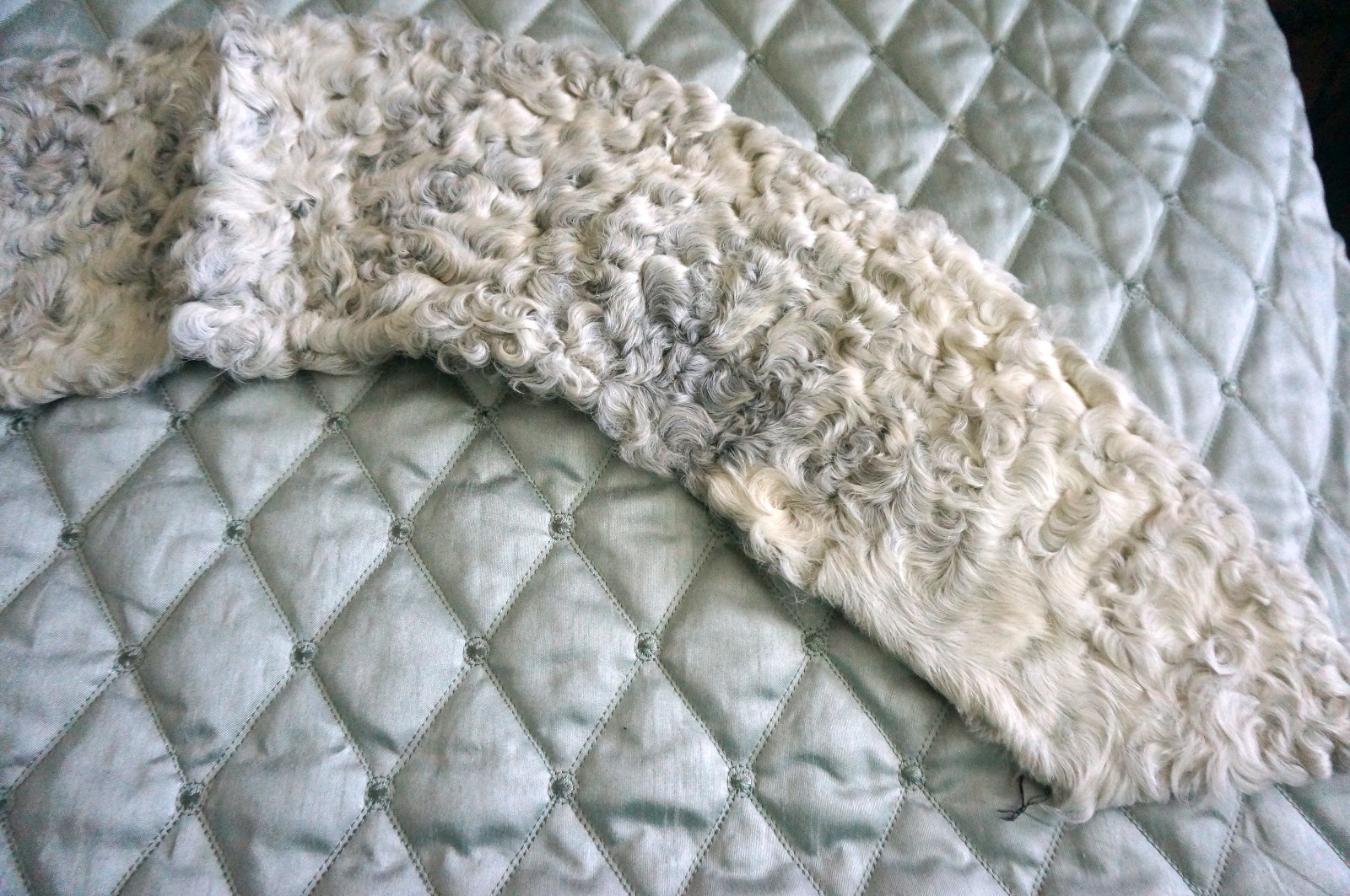 Vintage Real Gray Persian Lamb Fur Collar for Jacket Coat