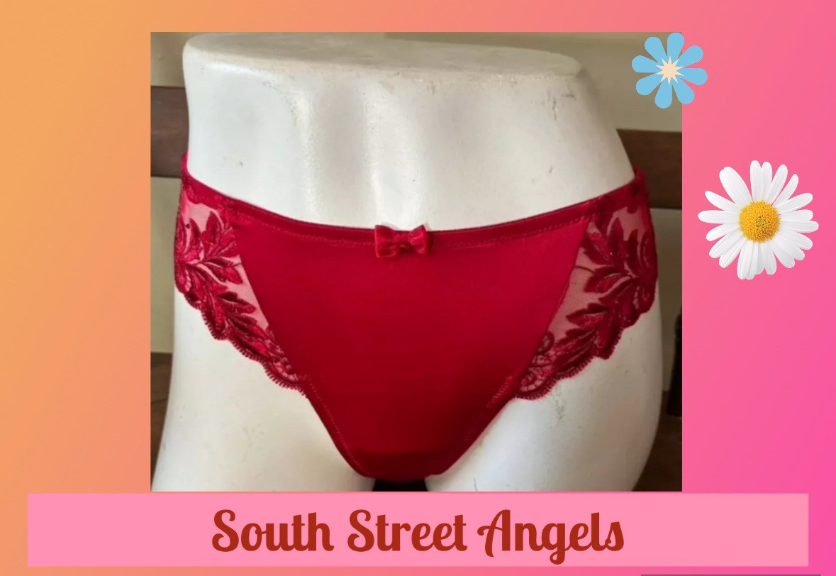 VINTAGE SOMA RUBY RED ~ SENSUOUS LACE SPECIAL EDITION THONG PANTIES MEDIUM NWT