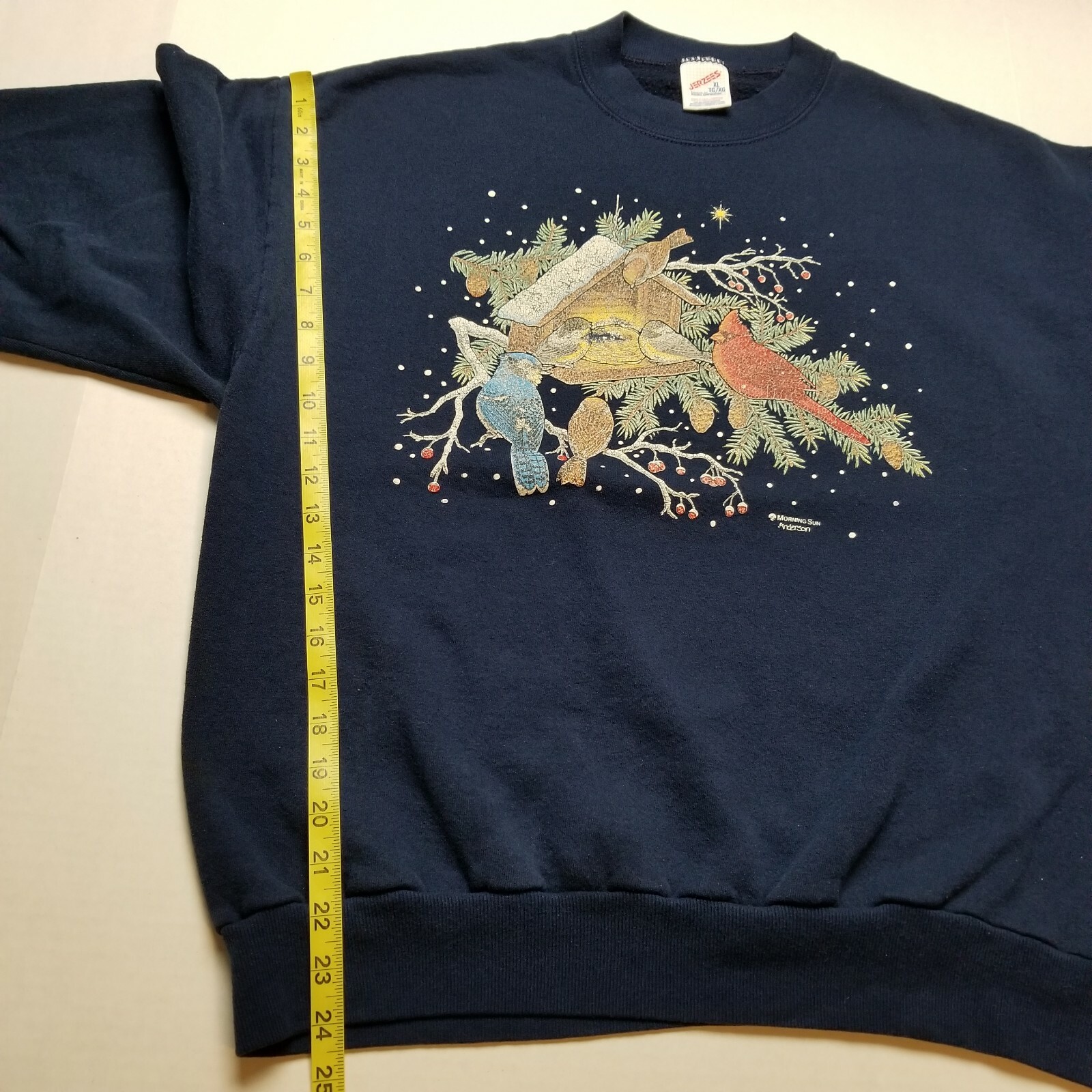 Vtg Morning Sun Winter Birdhouse Sweatshirt Womens XL Snow Jerzees USA 90s T44