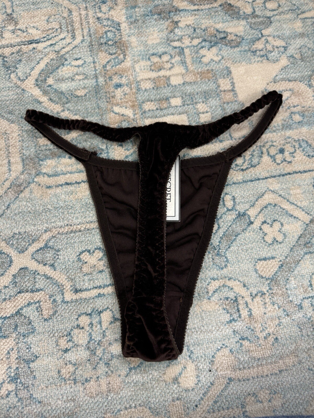 Secret Treasures Vintage Velvet Glossy Thong String Panties Bikini High Cut Y2K