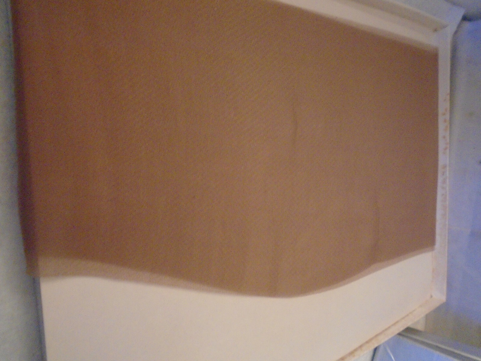 VINTAGE APPOINTMENT SEAMLESS MESH RUN GUARD FRENCH TAUPE 8.1/2 (S) HOSIERY 2PK