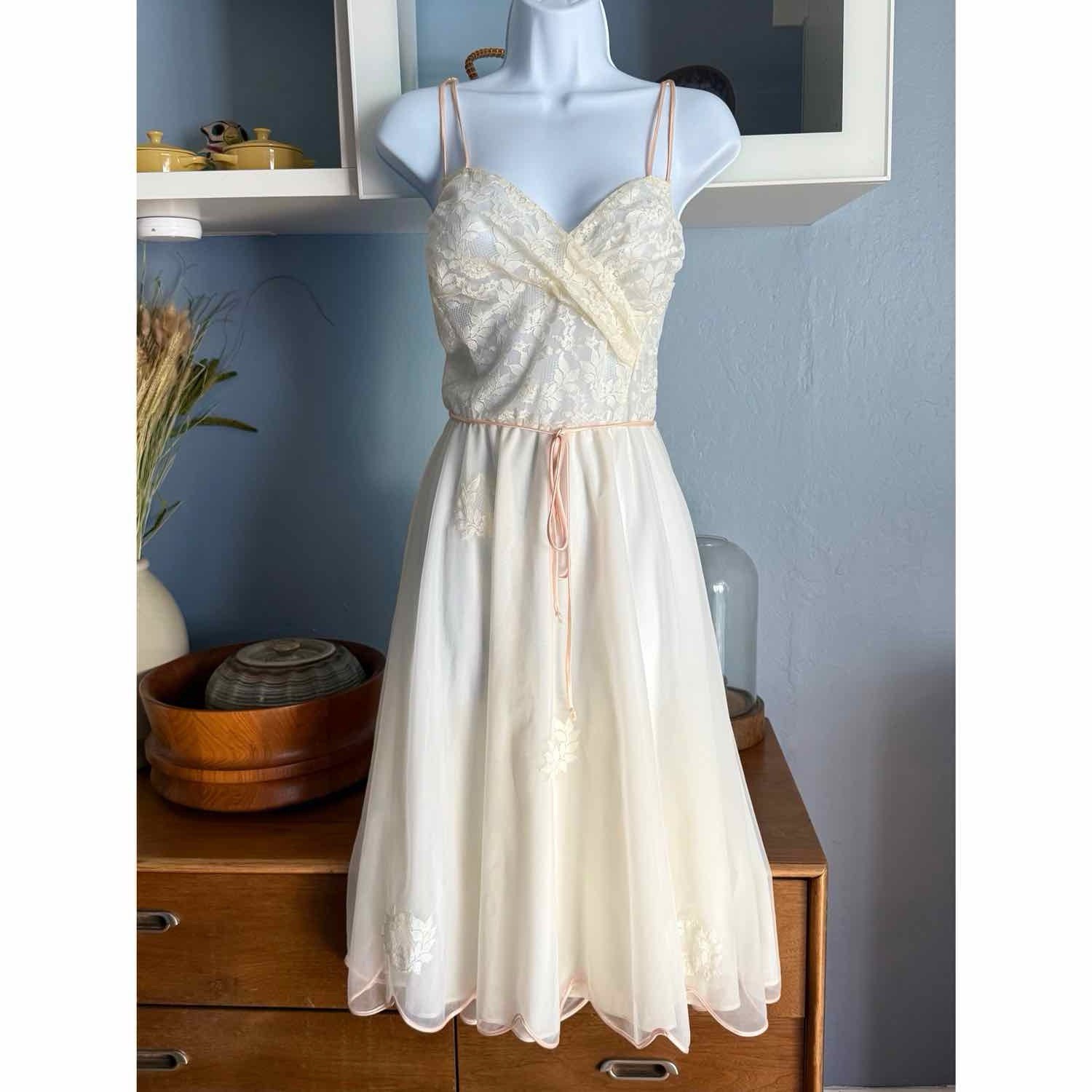 Vtg 50s 60s Eyeful by the Flaums Lace Embroidered Chiffon Nightgown Dress 34
