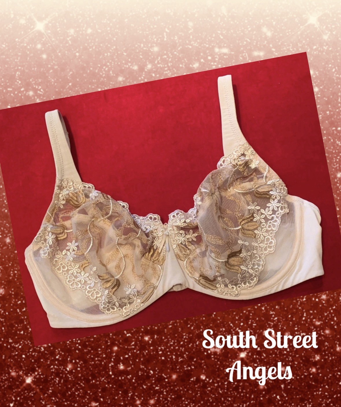 VINTAGE WACOAL 85569 ~ NUDE ROMANTIC INSPIRATIONS SHEER UNDERWIRE BRA ~ 34DD