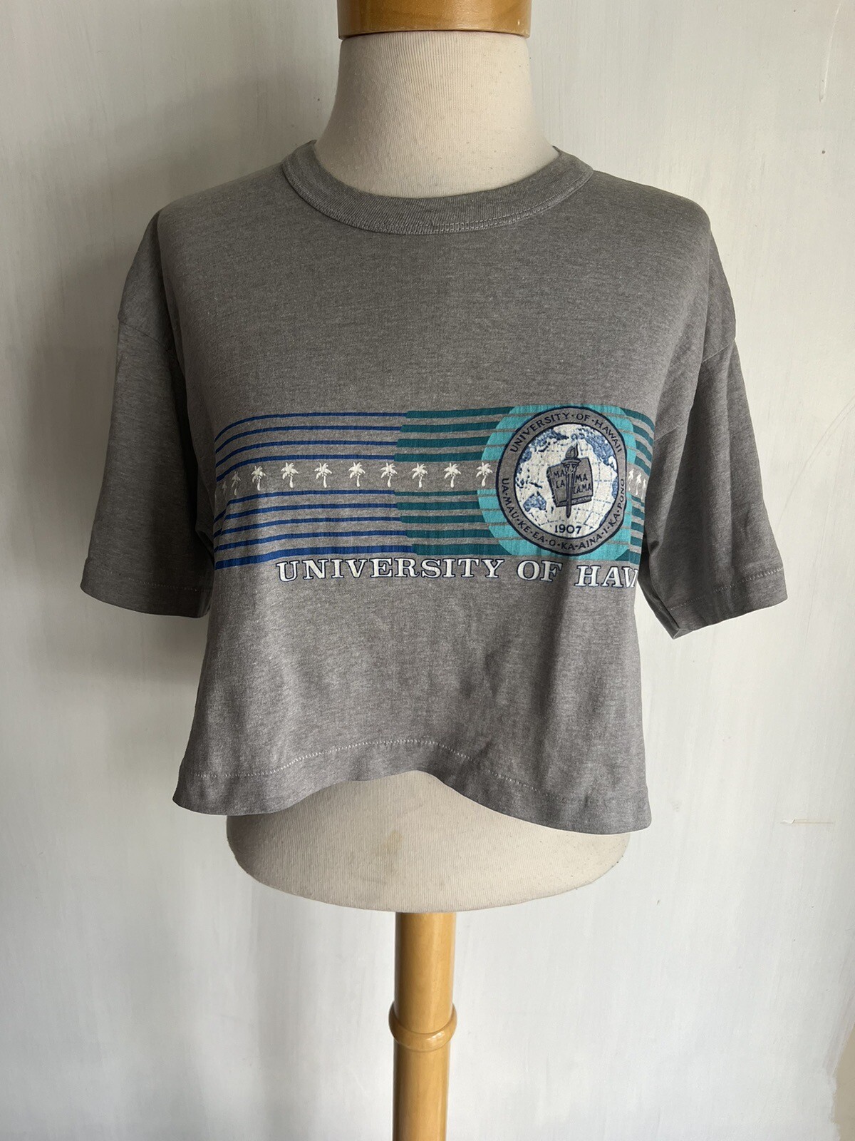 UNIVERSITY OF HAWAII Vintage 80s Design Tees Crop Top T-Shirt Size M/L (XL)
