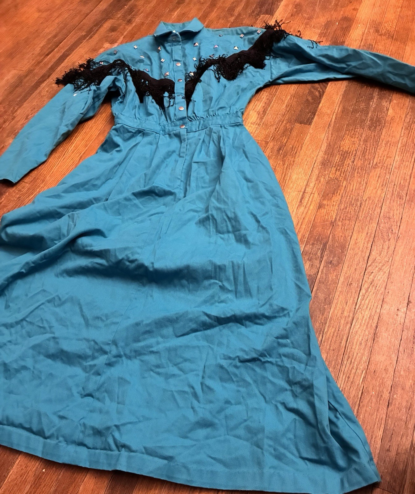 Vintage Cameo Rose Green Western Dress With Fringe 9/10