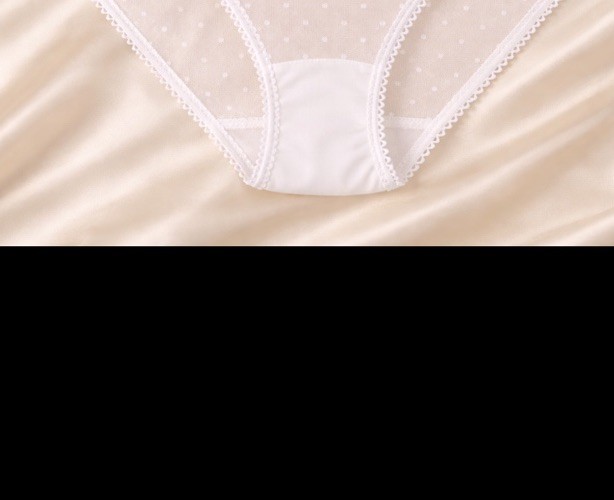 Vintage Sheer White Mesh Lace Panties Micro Dot French Style High Cut 80s/90s