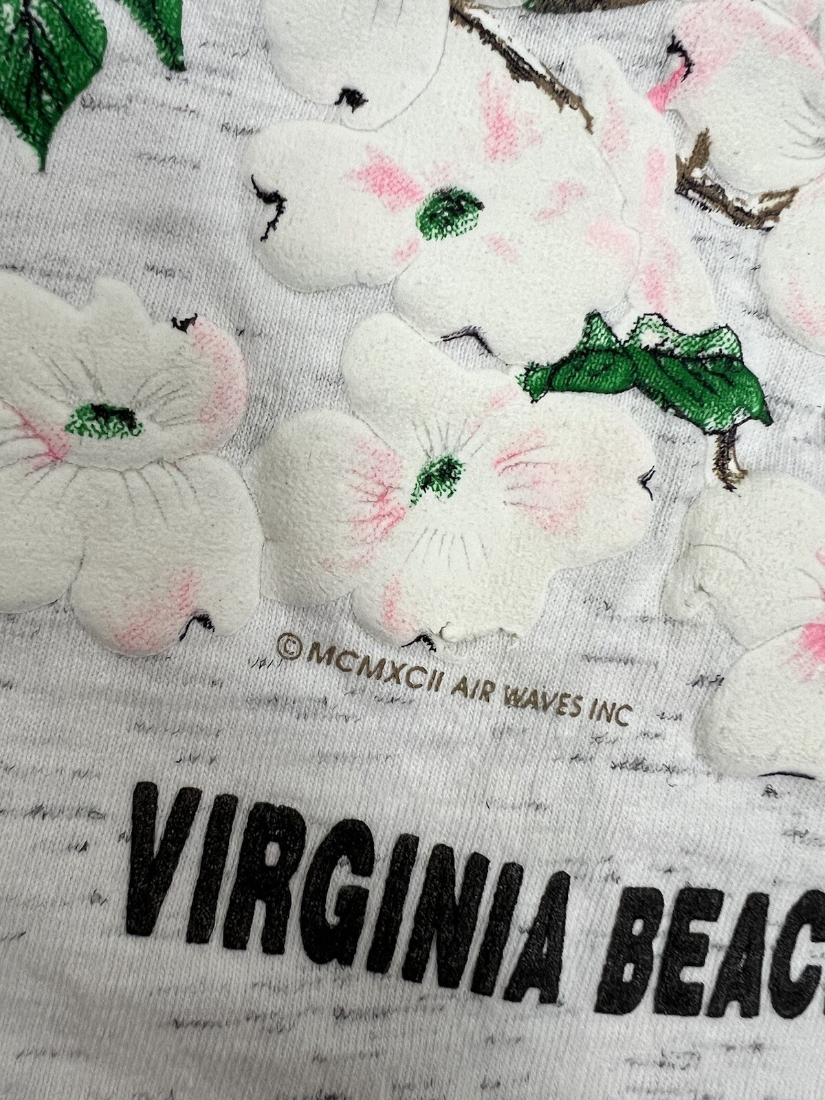 VTG Virginia Beach Blue Jay Birds On Branches Air Waves Single Stitch T-Shirt