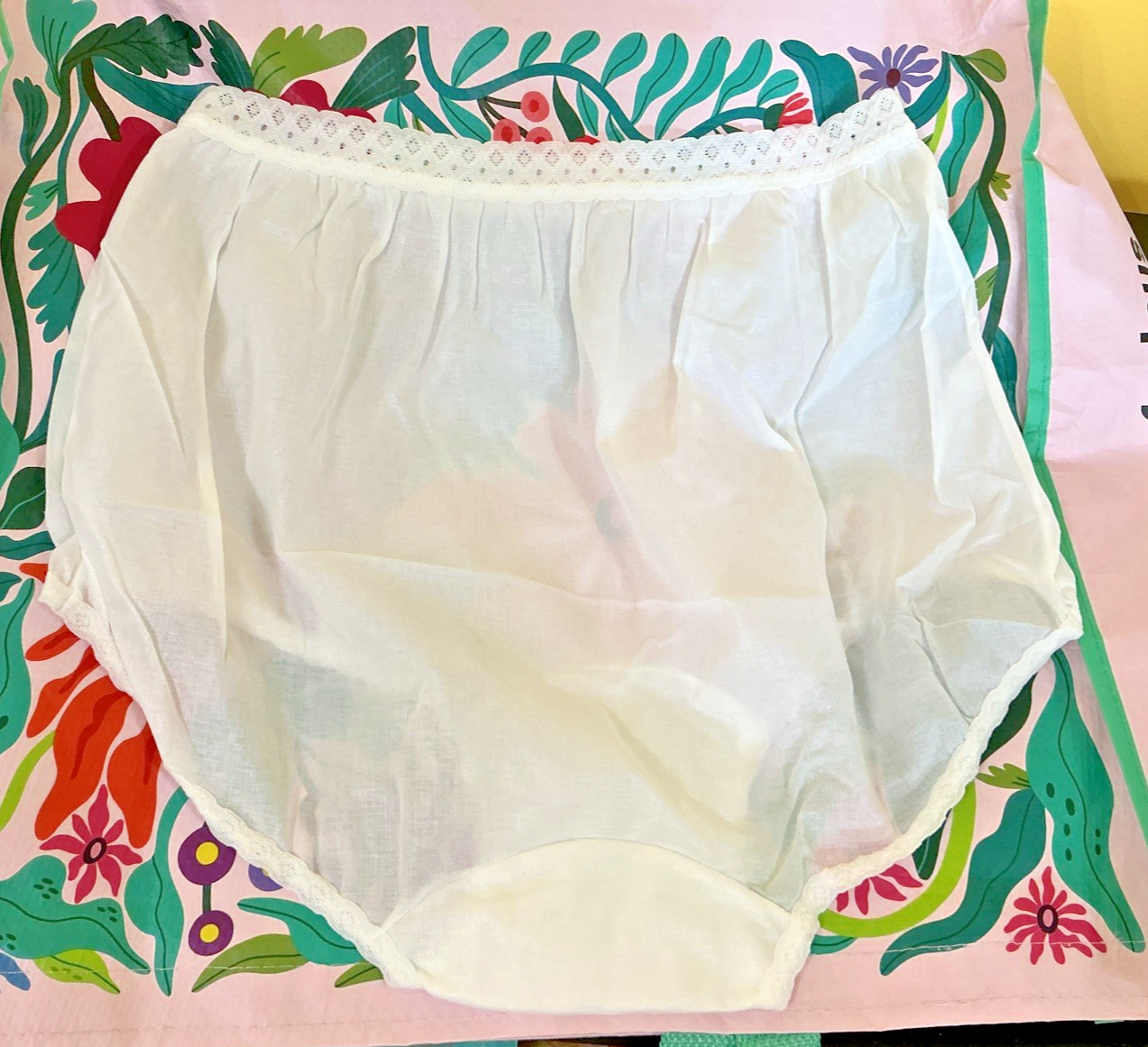 Vintage Carole Brief White Panties Sheer Nylon Panties 3 Pairs Size 7
