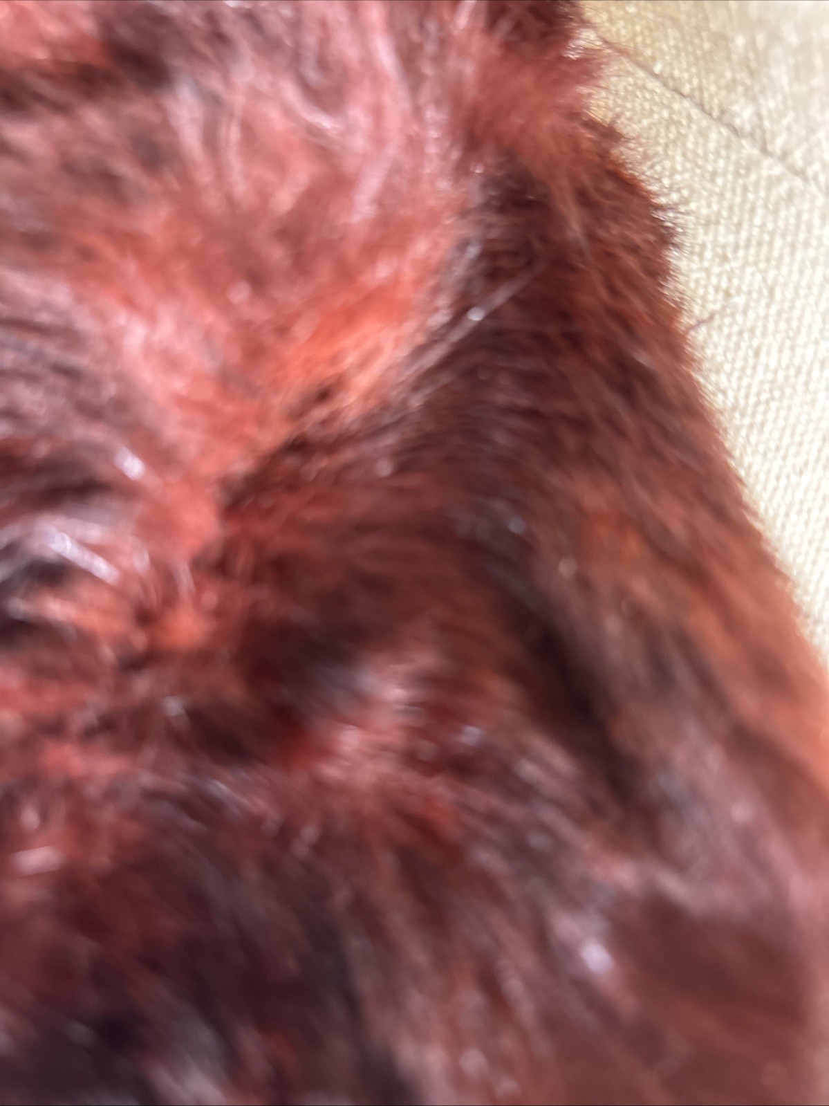 Vintage 1950s Chocolate Brown Mink Fur Jacket 3/4 Sleeve Hook Closures Monogram