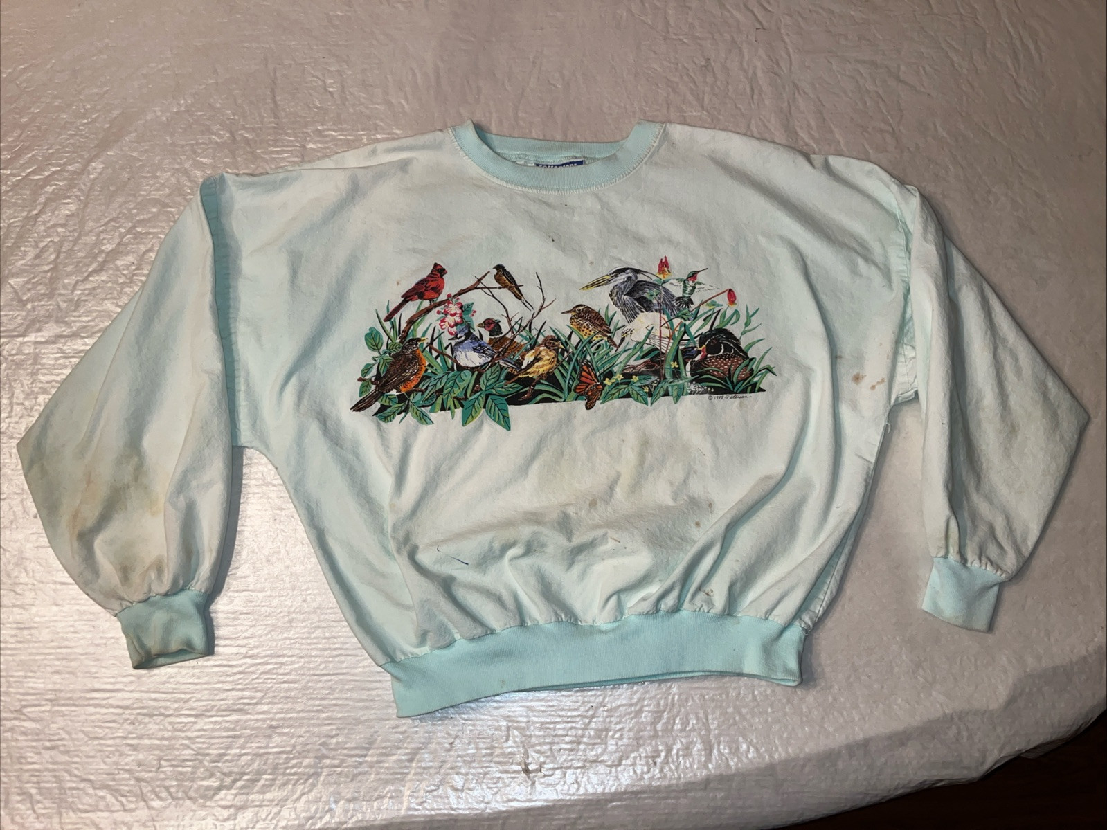 vtg Birds Nature Granny Core sweatshirt sweater crewneck pullover blue womens S