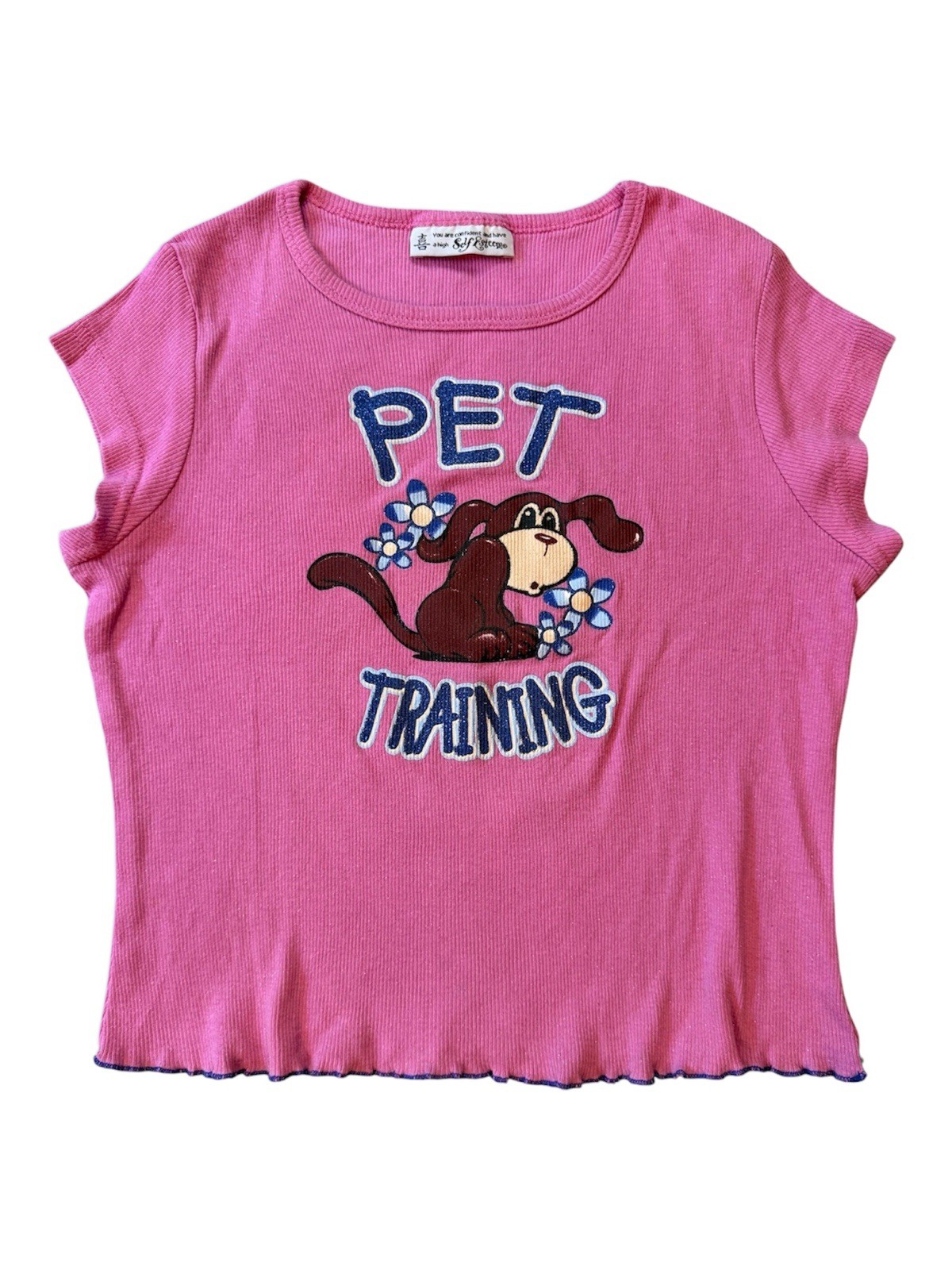 Vtg Y2K Self Esteem “Pet Training” Dog Lover Dog Life Graphic Baby Tee Size S
