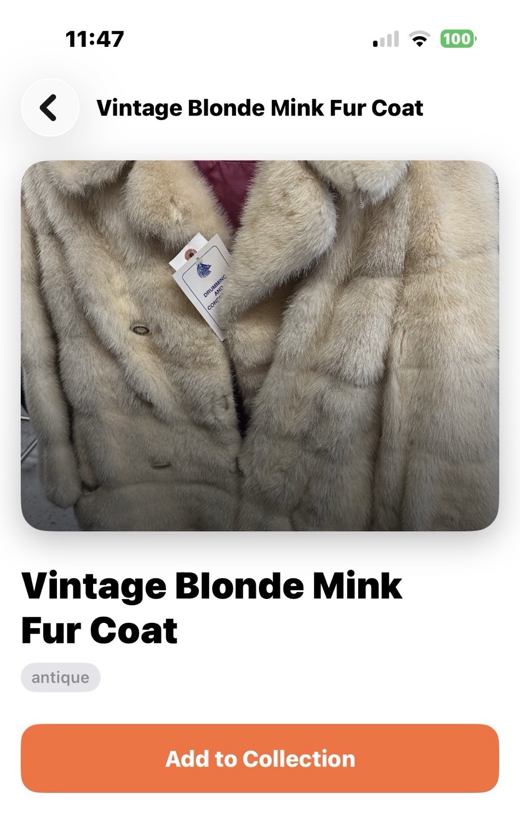 Vintage 1950S Blonde Mink Fur Coat Kept professionally Stored Out Of Season