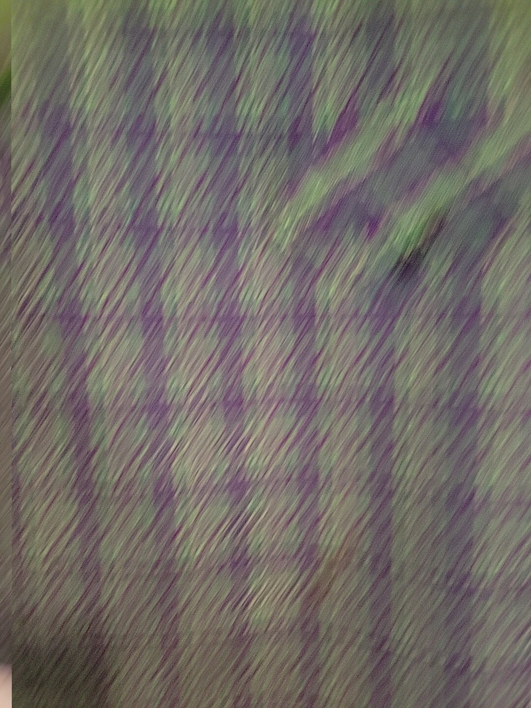 Vintage 60s/70s Lilly LONDON Purple Green Plaid Mini Twiggy 36 Long Sleeve