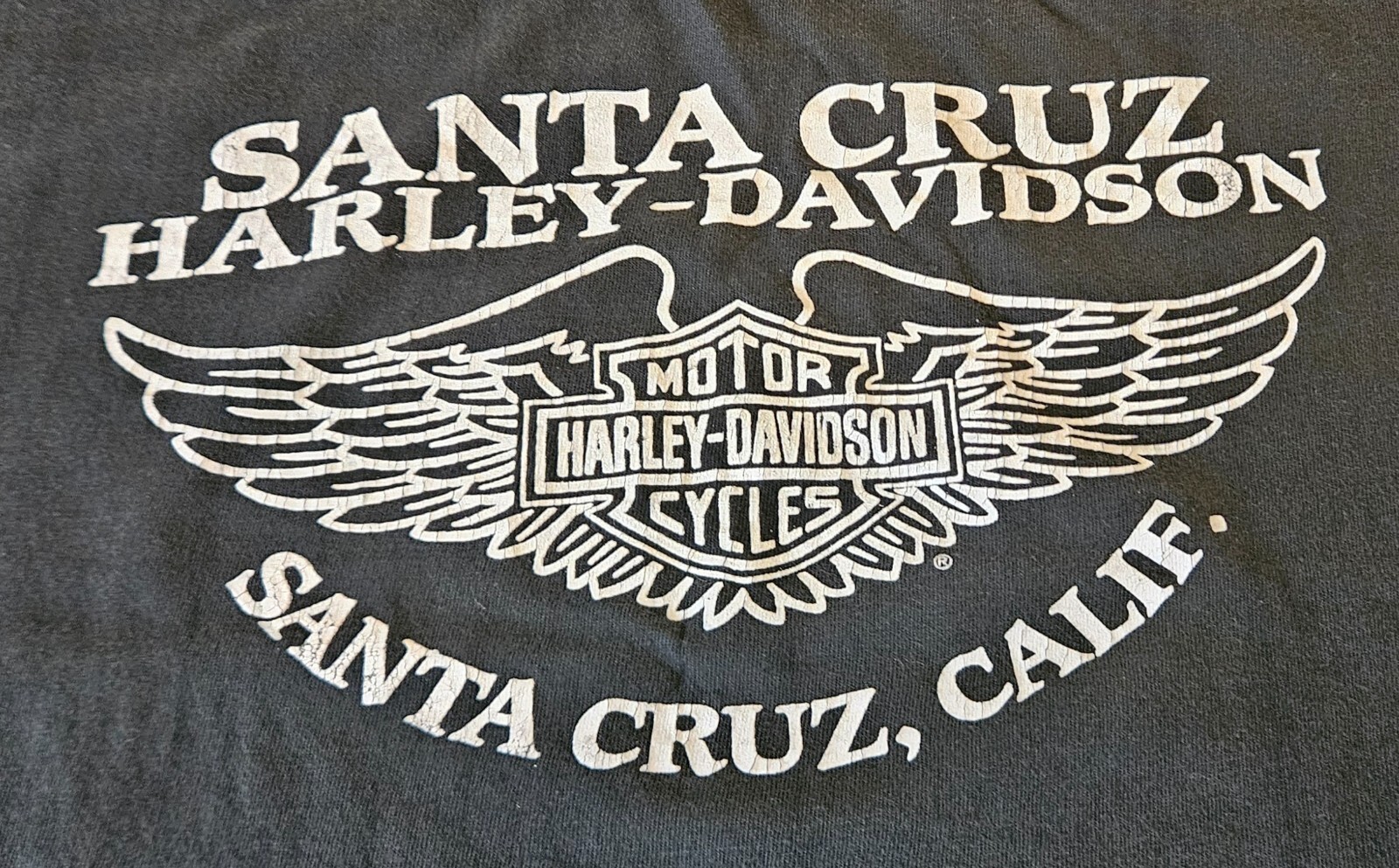 Vintage 3D Emblem 1988 Harley Davidson Womens Eagle Rose Crop Top Santa Cruz M