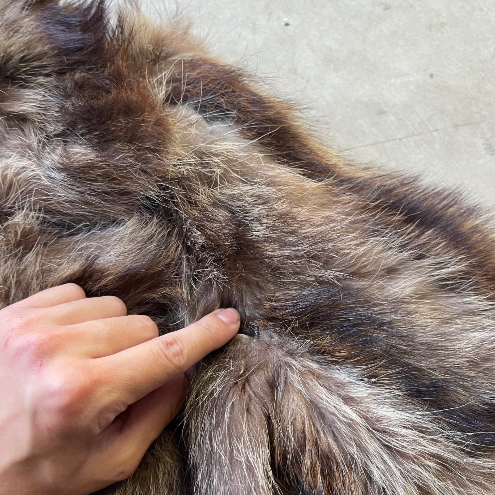 Nicholas Furs New Haven Vintage Raccoon Fur Coat Brown Grey Shawl Collar Lined