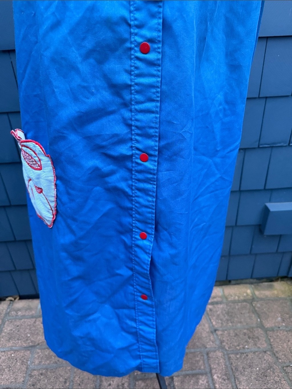 Bright Blue Button-Front House Dress with Red Accents Dan Ellen