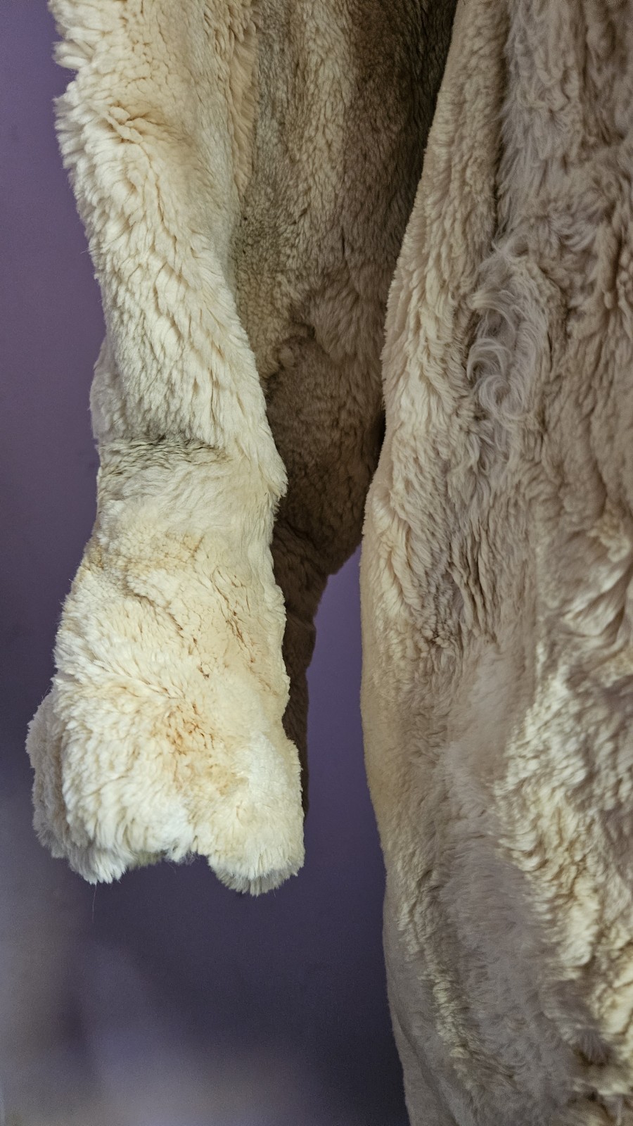 Vintage 1950s Schiaparelli Paris Blonde Rabbit Fur Coat Designer + Stole