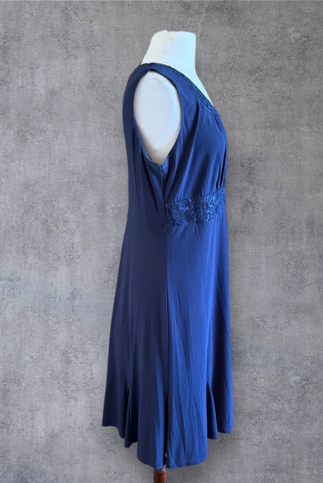 R&M RICHARDS Navy Blue Sleeveless Lace Embellished Neckline & Waist Dress 14