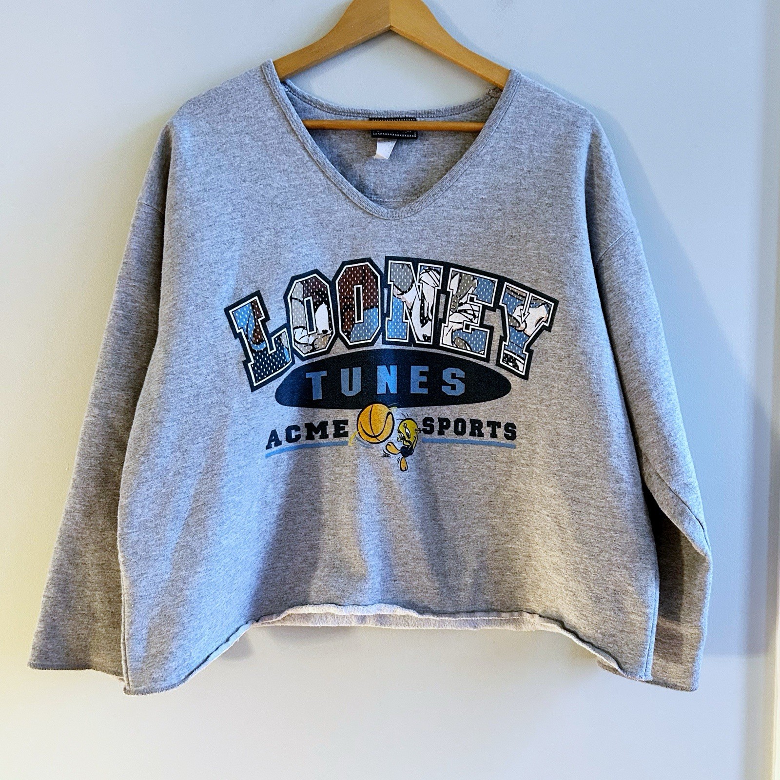 Vintage 1997 Looney Tunes Acme Sports Sweatshirt Gray Women’s Large Crop