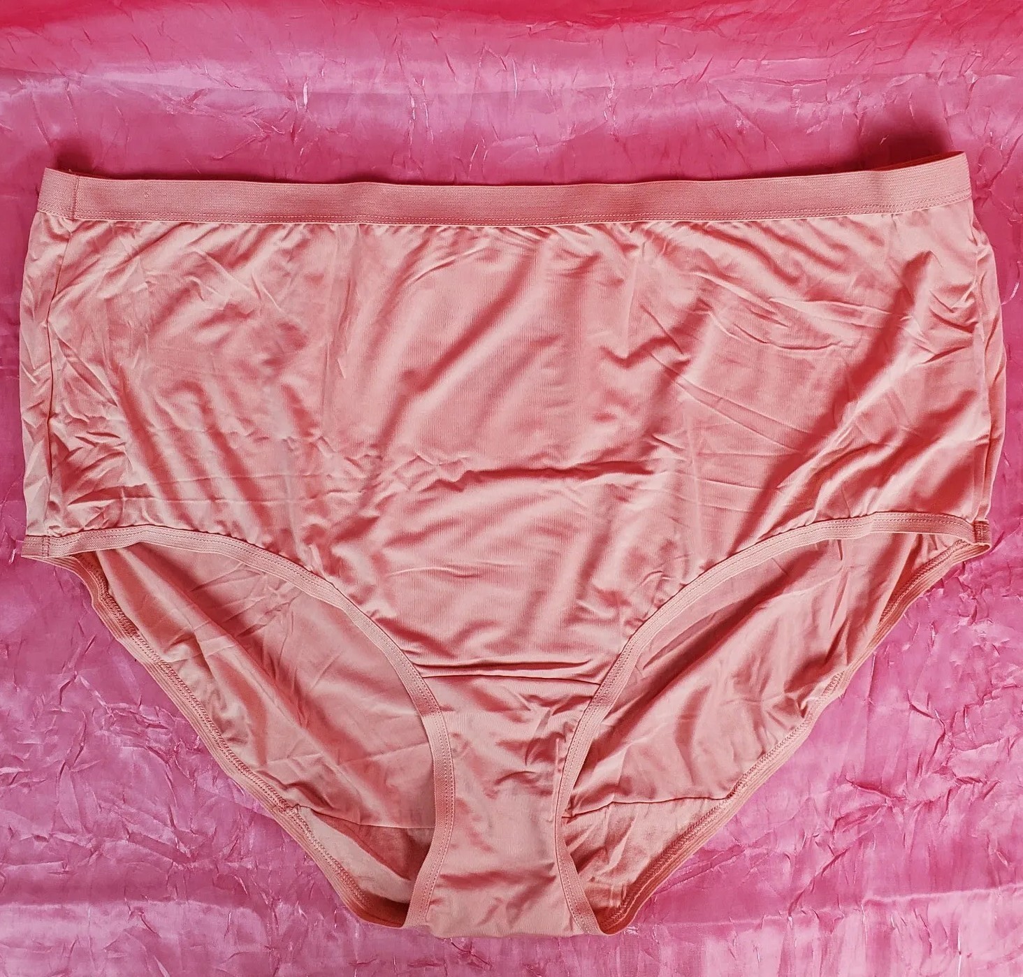 Sheer Panties Shiny Silky Nylon Gusset Sz 12/5XL Sissy Sexy Granny Panty