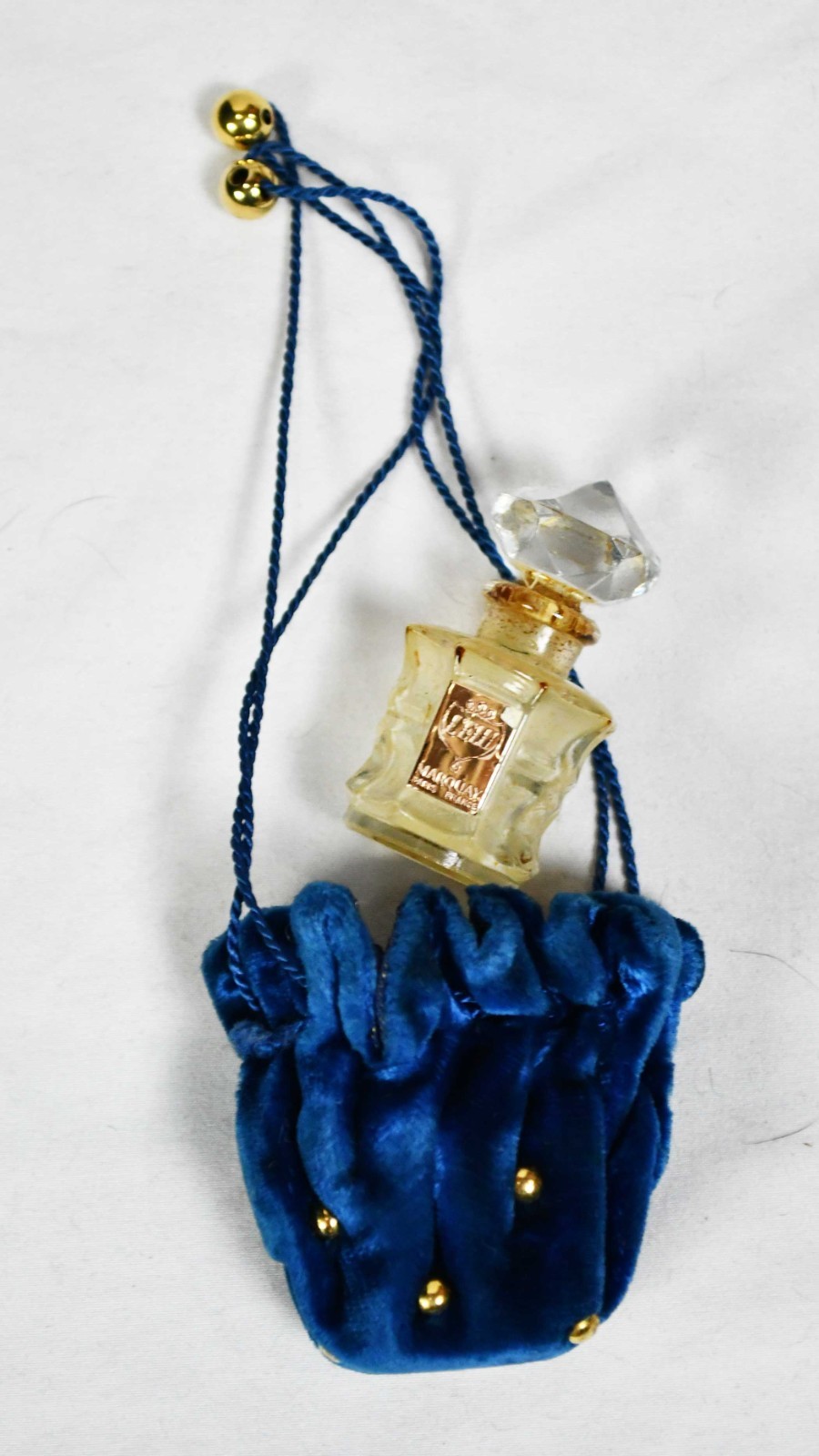VICTORIAN BLUE VELVET VISITING DRESS, 1895