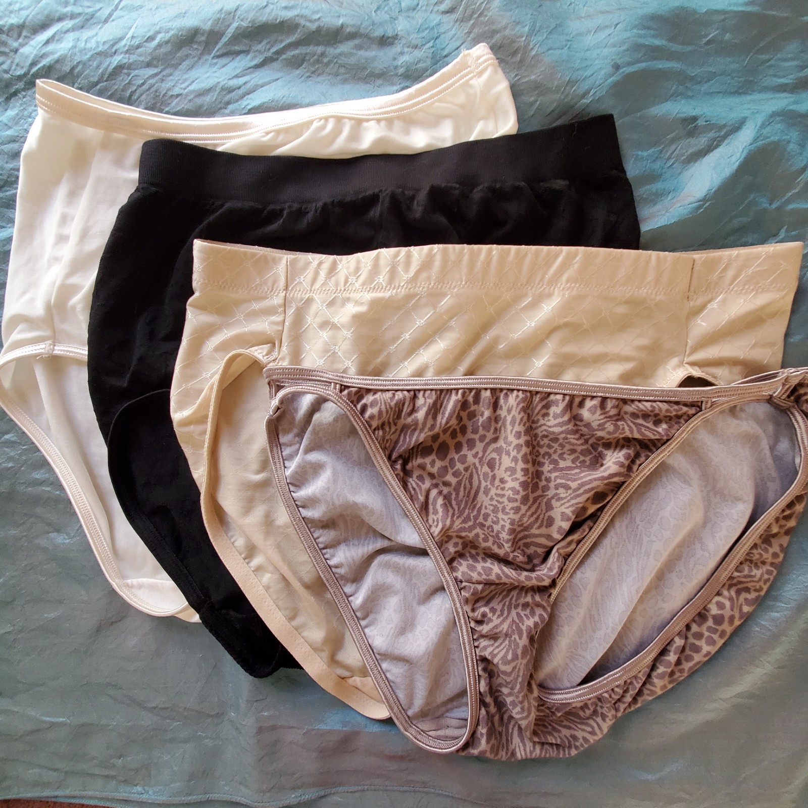 Vanity Fair Bundle Lot of 4 Panties Brief Bikini Underwear Size 7 Large