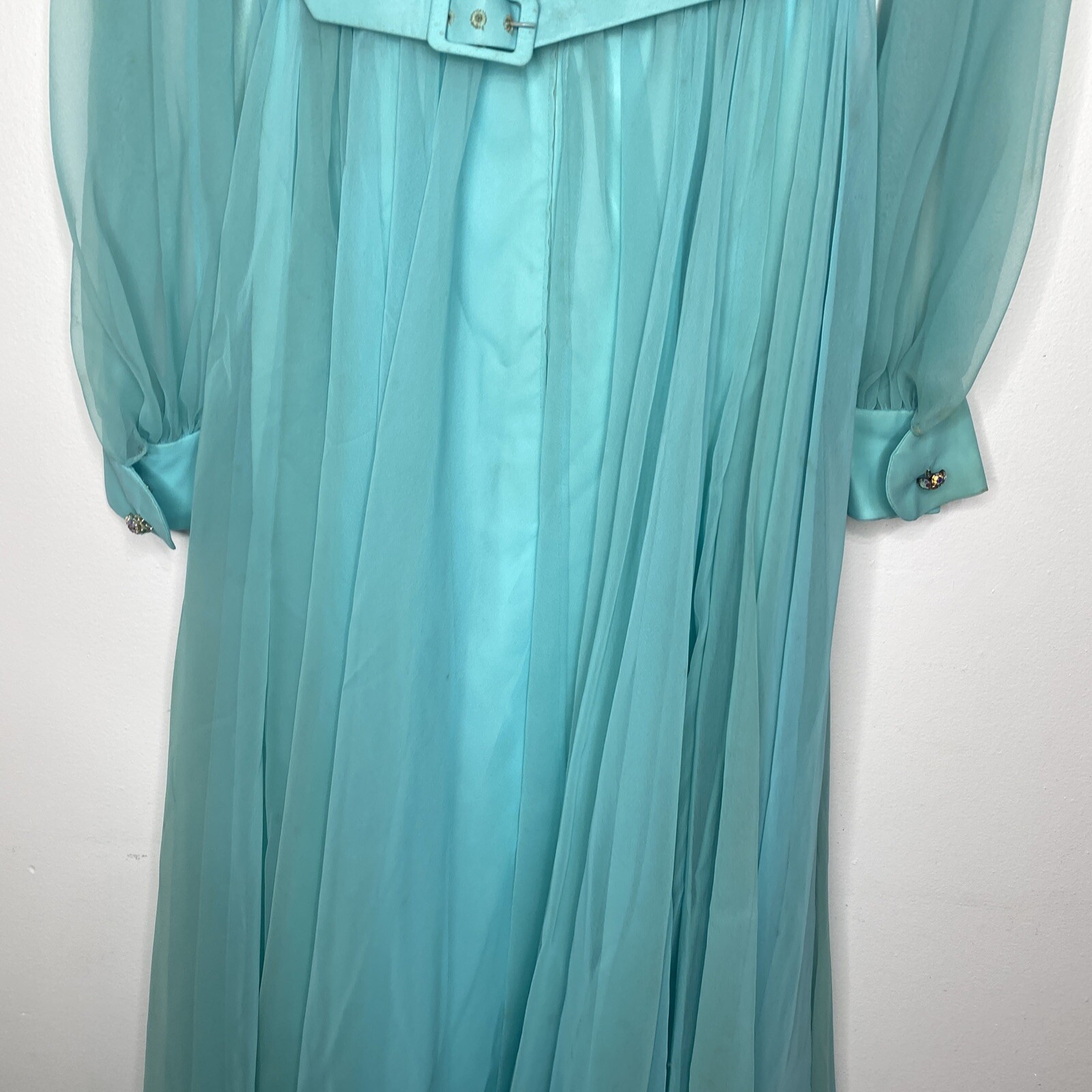 Vintage 1970’s Maxi Dress Cocktail Sheer Pleated Green 6 Shannon Rodgers