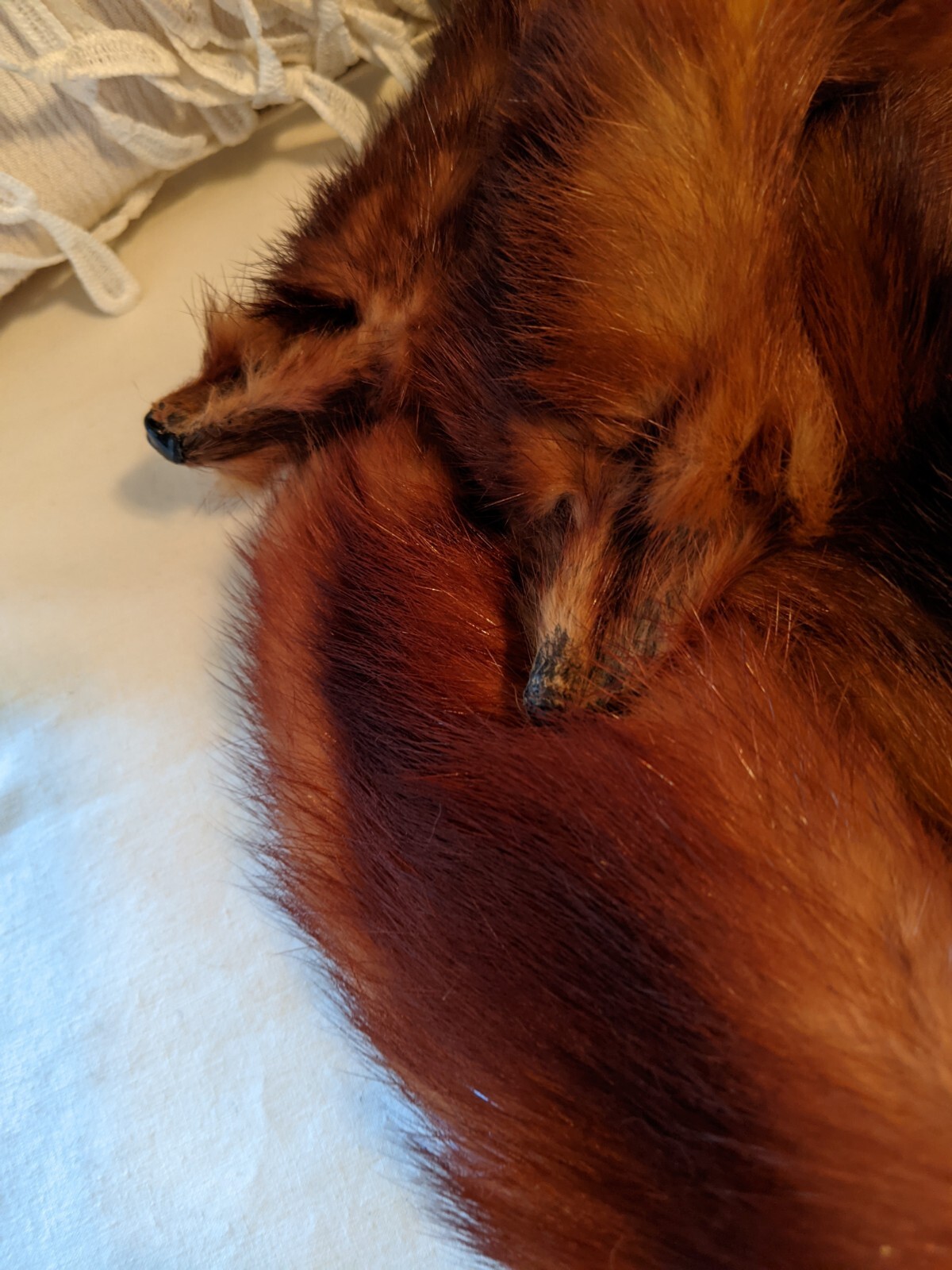 Vintage 6 Pelt Mink Fur Stole Scarf Shaw 44 inches Long Mouth Clasp Or Button