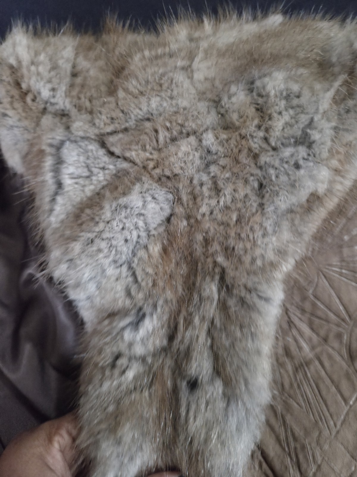 Vtg Furessence by Vivian Amato Fur Coat & Textured Seude Greece Medium Glam80’s