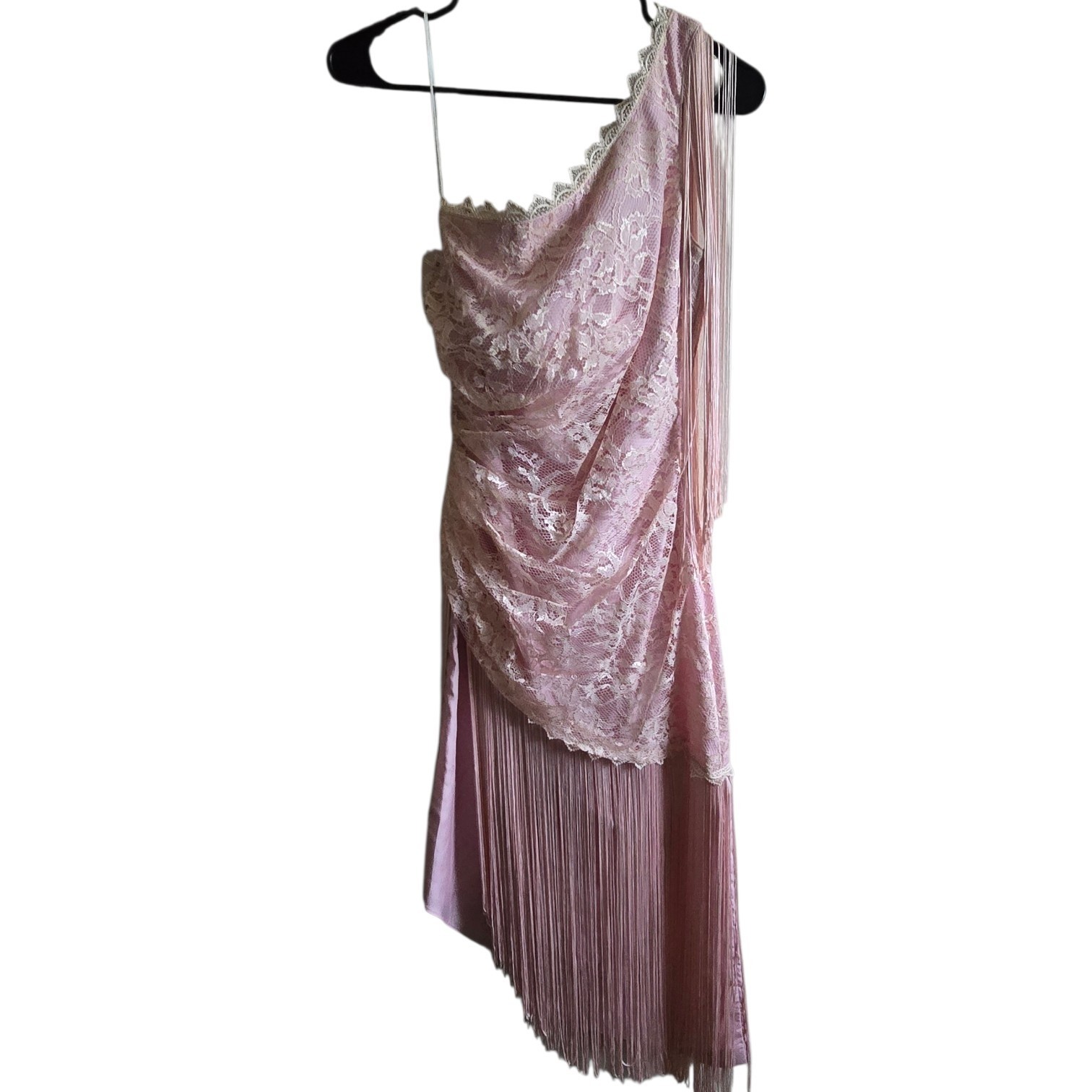Vintage 1980s New Leaf by Samir Dusty Rose Lace & Fringe Dress