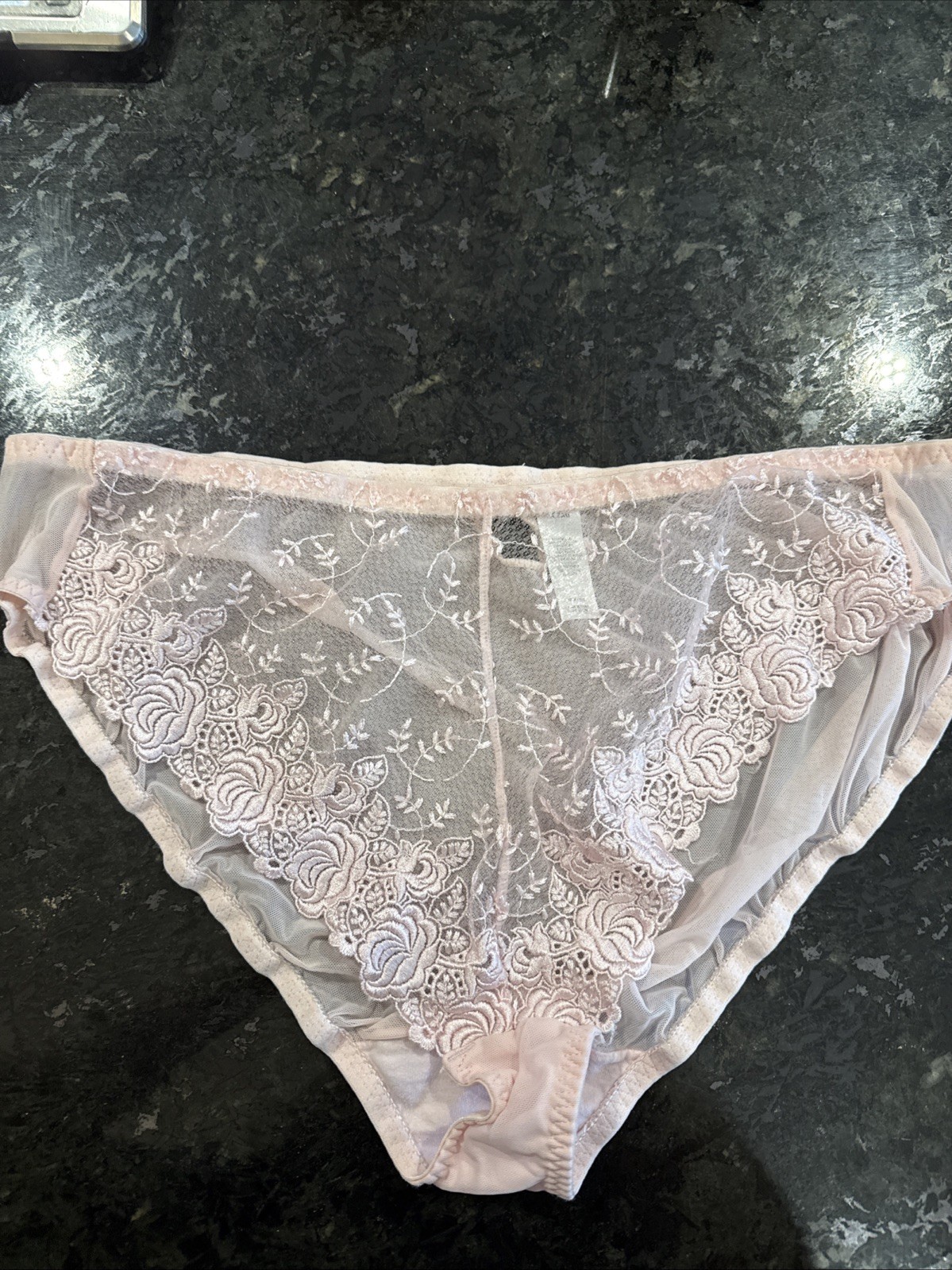 Vintage DELICATES Sheer Mesh and Lace Bikini Panties 2XL