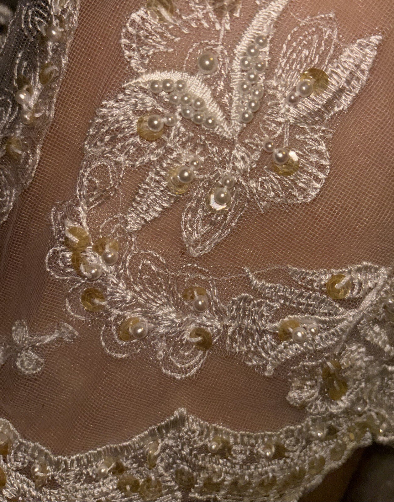 Classy And Classic, Deneki’s, Beaded Lace And Train