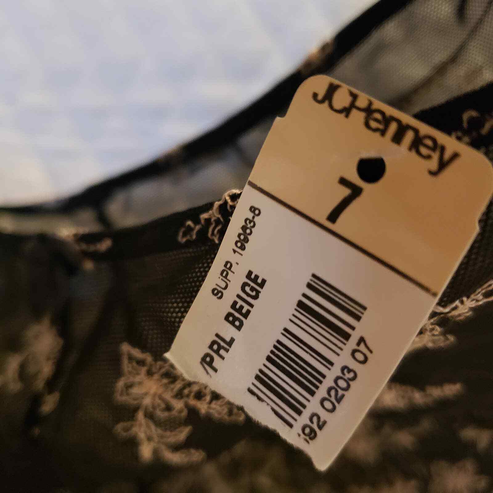 Vintage Delicates Panties Sheer Lace Black Floral Embroidery Sz 7 L JC Penny