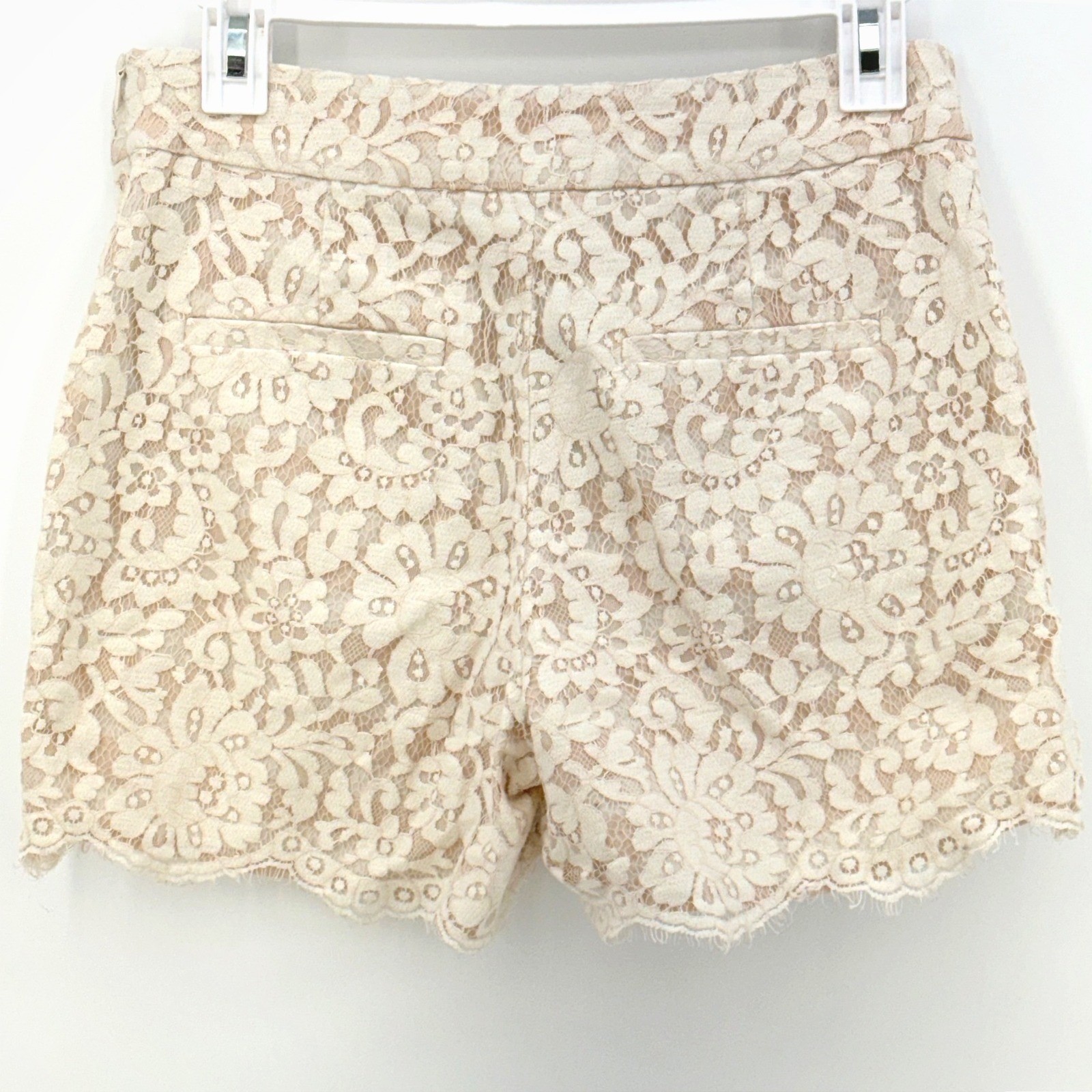 Anthropologie Cartonnier Lace Short Ivory 4 Pink Stripe Cottage Romantic Scallop