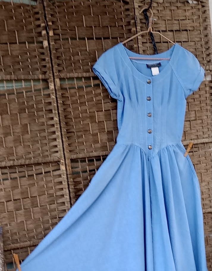 Vintage Denim Dress ~ Basque Waist ~ Full Swing Skirt