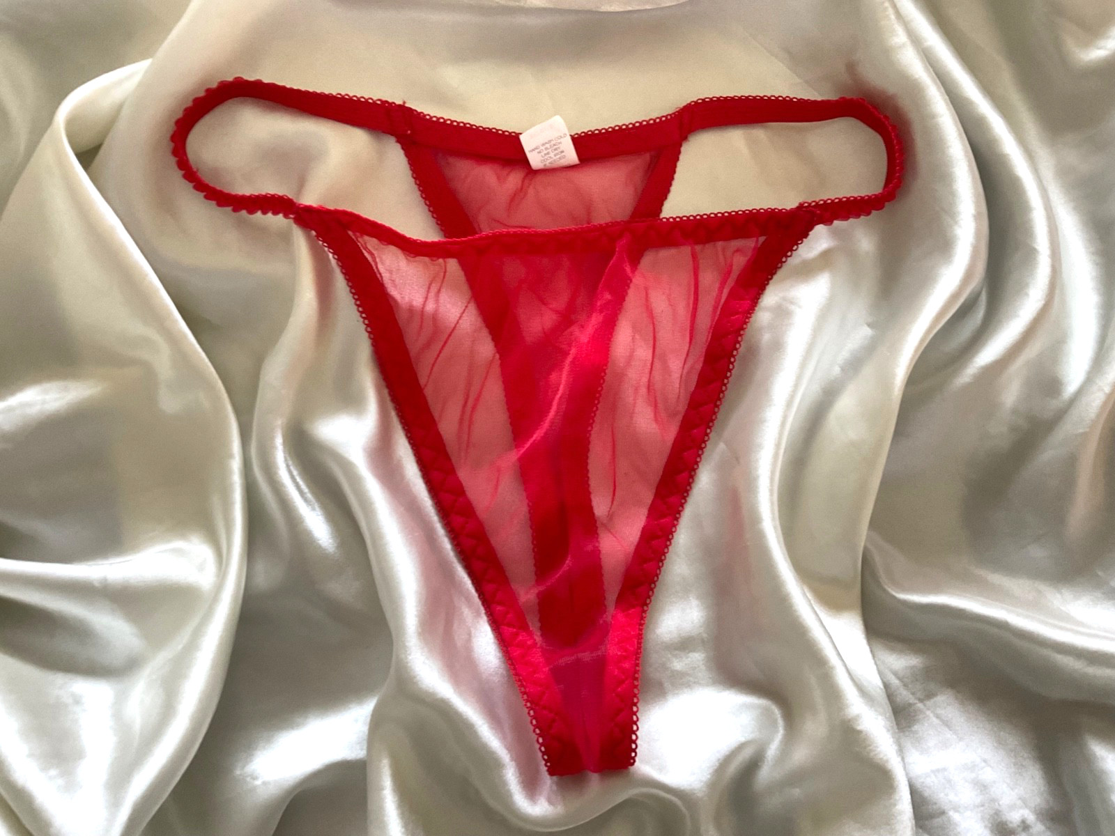 Vtg SHEER Chiffon Nylon String Bikini panties Size Large