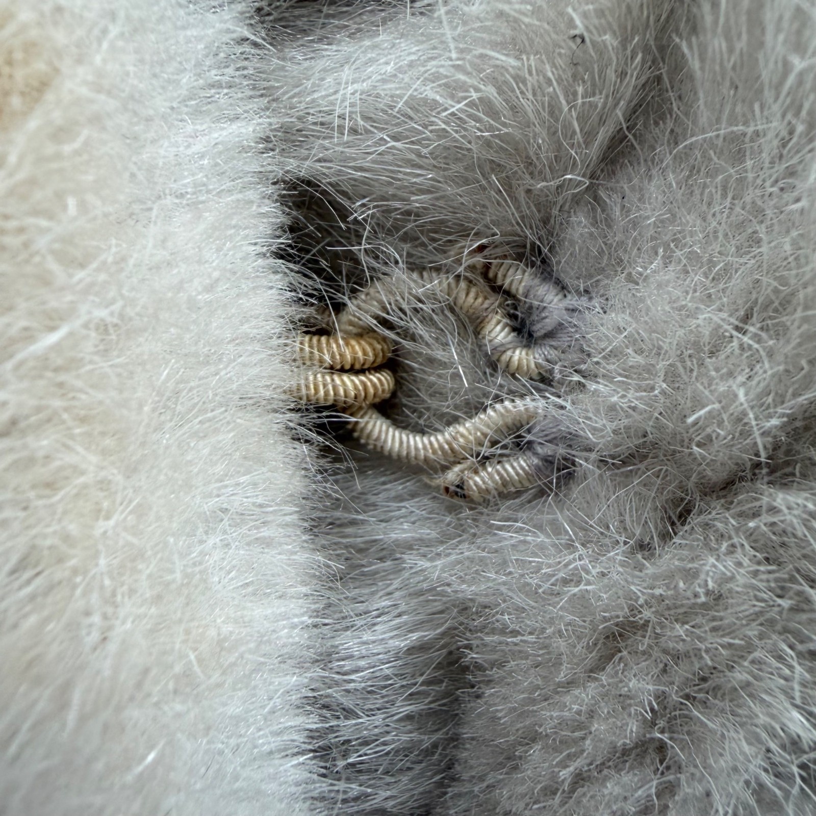 Vintage 1970s Neiman-Marcus Marissa Ferrere Light Gray Plush Faux Fur Jacket (L)