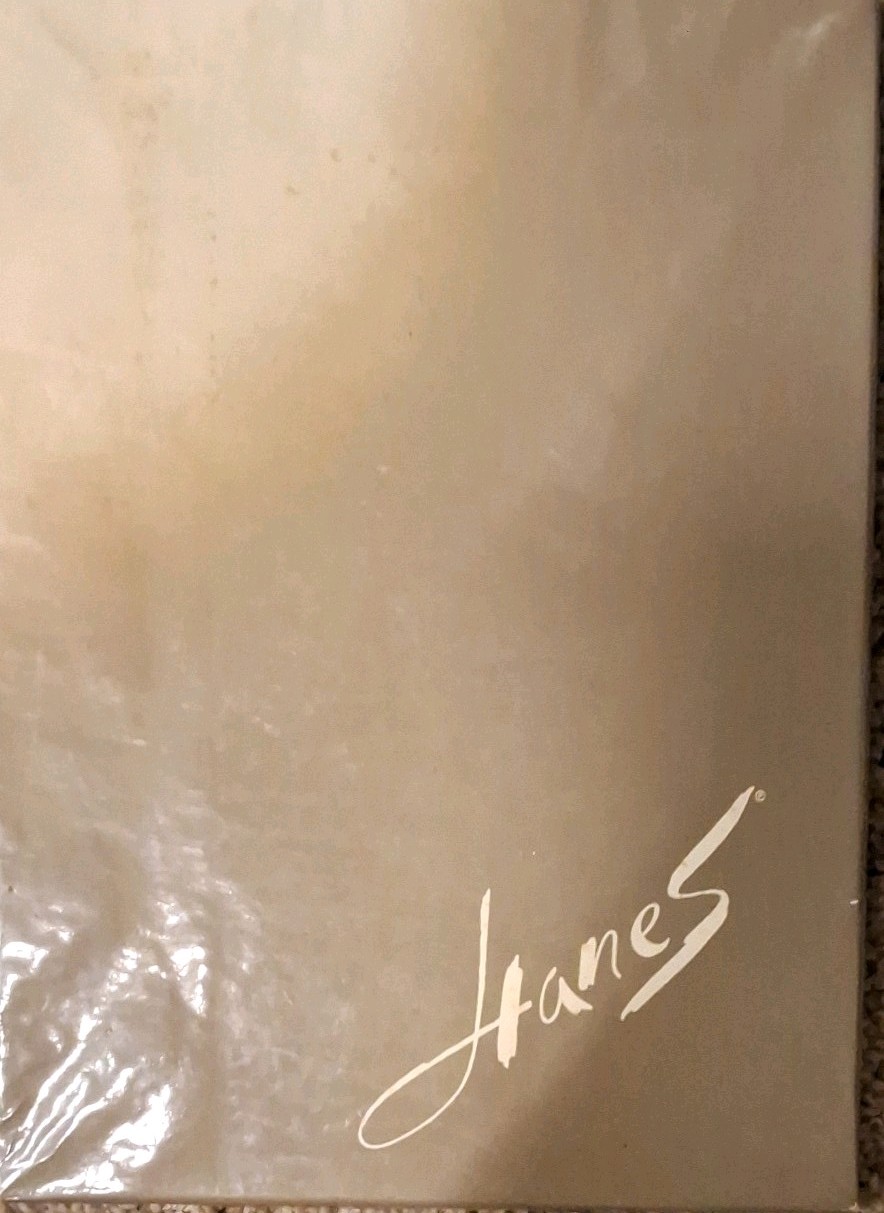 2 Pair Vintage Boxed Hanes Mesh Town Taupe garter Stockings 10-11
