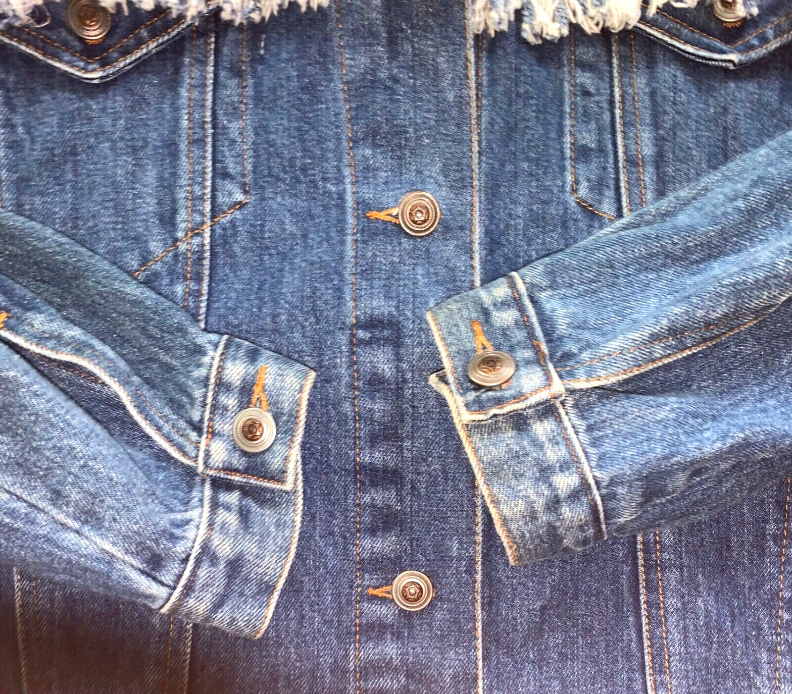 1990s Eccentric SouthWestern Denim Jacket Jean Fringe Appliqué Horse Boot Cactus