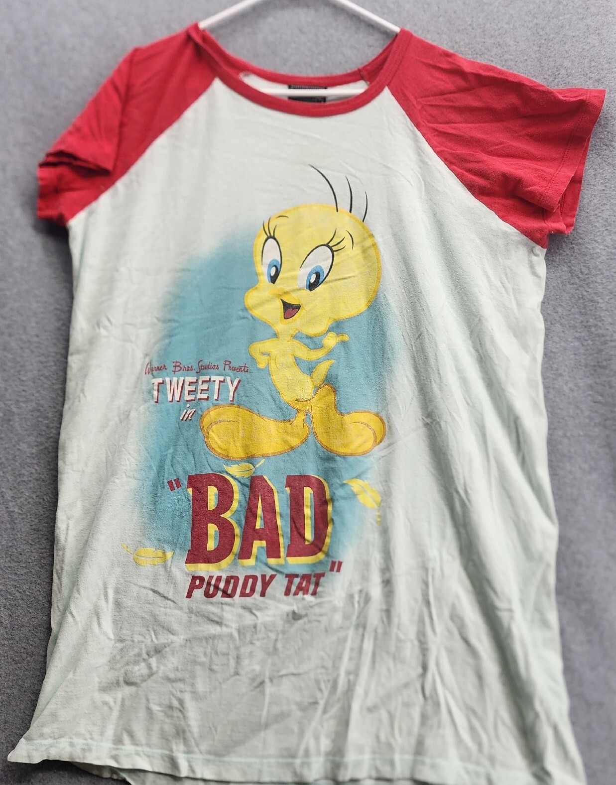 Looney Tunes Tweety Bird Night Shirt Oversized Vintage Warner Brothers 90’s