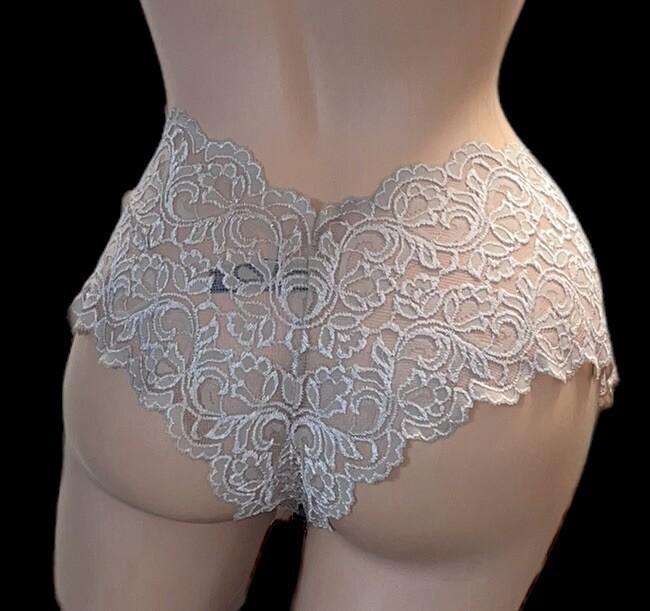 SMART & SEXY Beige Lace Sheer Cheeky Boyleg Nylon Panties Womens 9 NWT