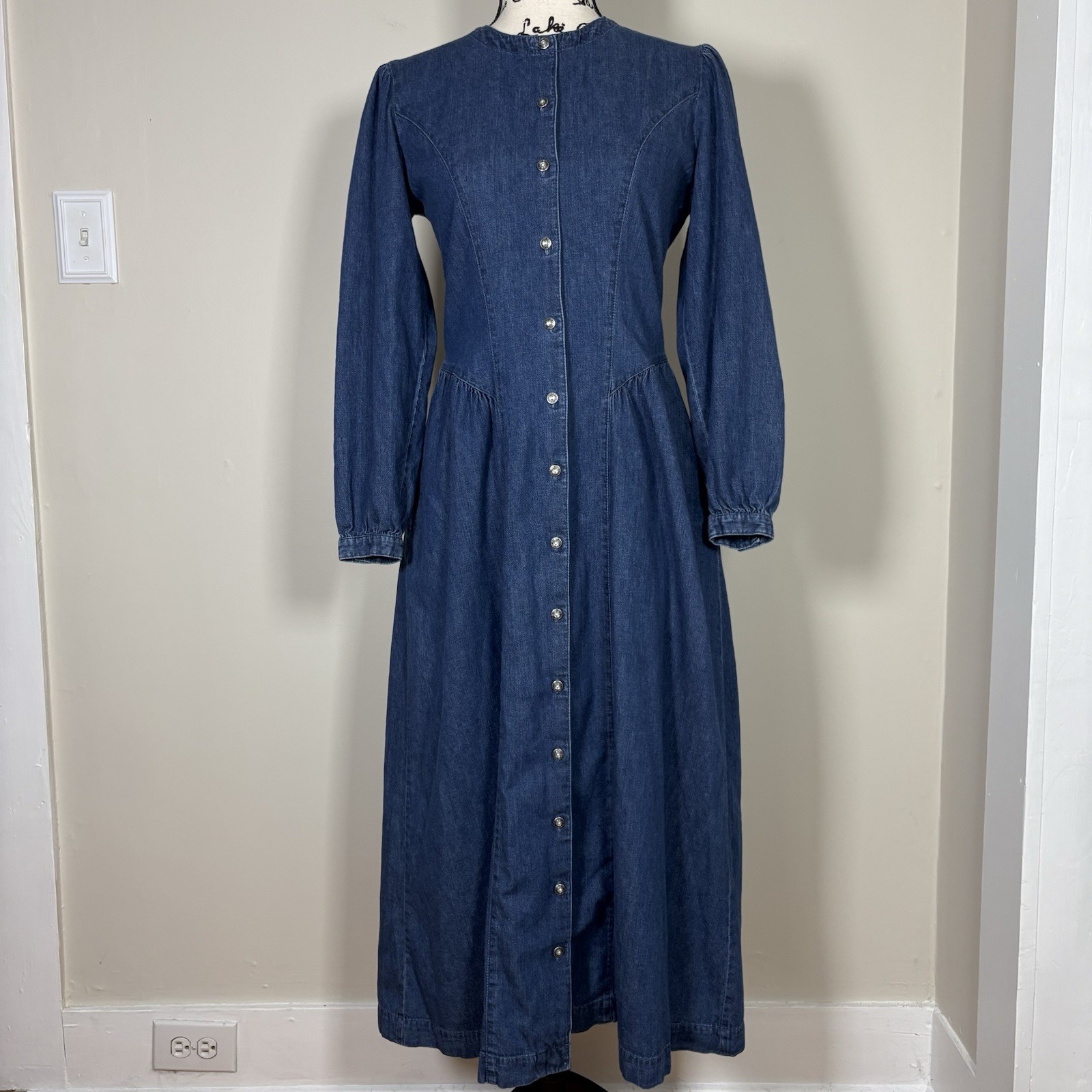 Vtg All Week Long Denim Maxi Dress Princess Seam 80s 90s Western Prairie Small 6