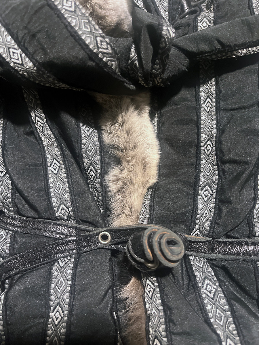 Rare, Vtg Daniela Vitali Raccoon Fur Jacket, Hooded,  Sz (US 10-12), Only $29!
