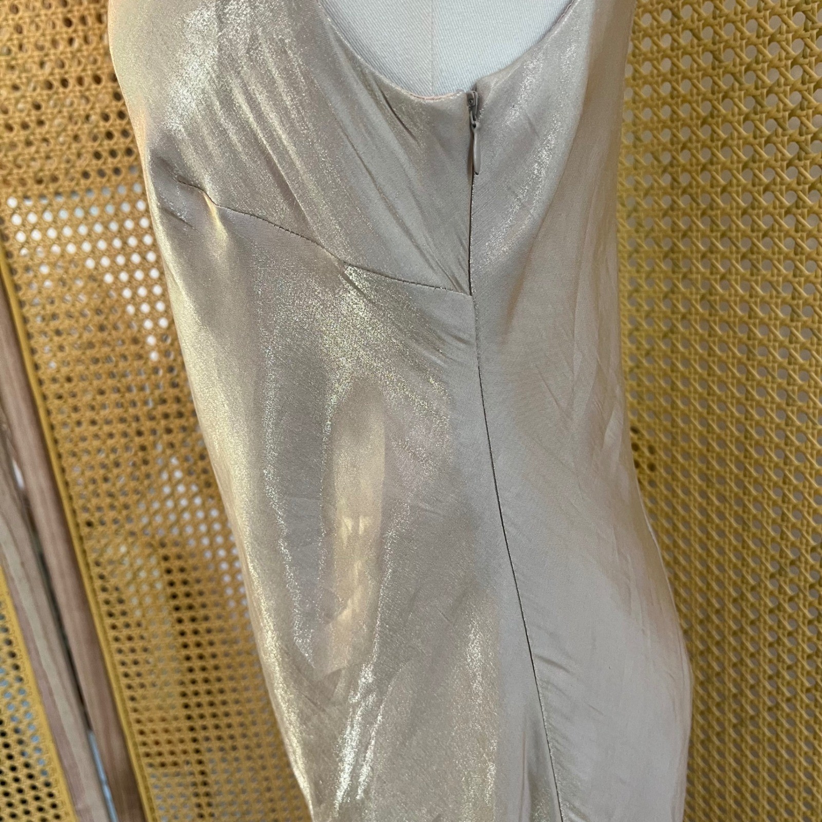 Vintage Alex Evenings Champagne Metallic Rayon Slip Maxi Dress 90s Formal 12