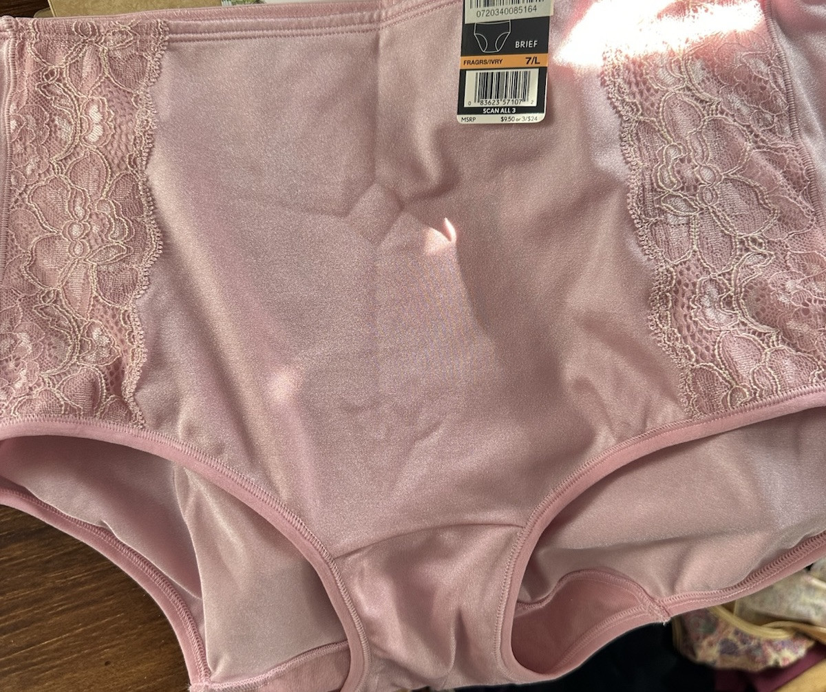 NWT VINTAGE! Vanity Fair Body Caress Sheen 13127 Brief Panties Gorgeous!!!