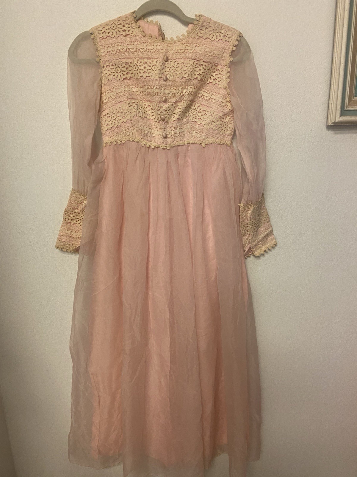 VTg Organza Lace Empire Waist Pink Prairie Dress Victorian Revival Cottagecore